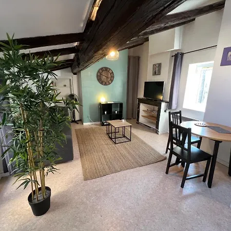 Cosy Hyper Centre Apartment