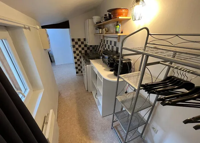 Cosy Hyper Centre Lejlighed Grenoble