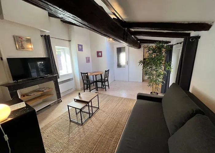 Cosy Hyper Centre * Grenoble